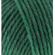 Alize Wooltime, зелений 532