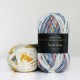 Avanti Yarn - Socks Yarn, 317