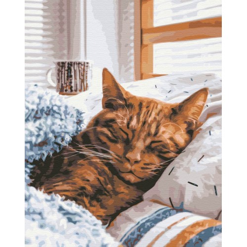 Картина за номерами Ранковий котик BS52320
