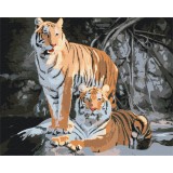 Картина за номерами Дикі тигри BS52793