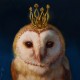 Снігова королева ©Lucia Heffernan CN53301S