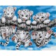 Картина за номерами Маленькі тигренята BS29308