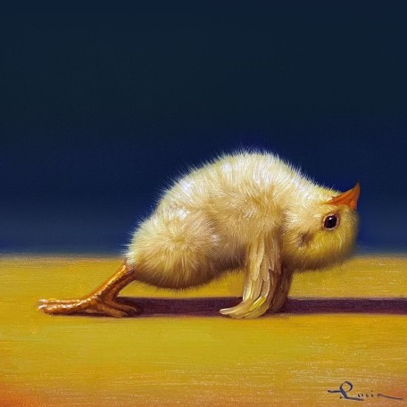Йога курочка планка в гору ©Lucia Heffernan CN53298S
