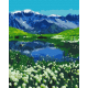 Картина за номерами Альпійські луги BS39458
