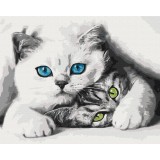 Муркотики