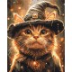 Котик маг BS54184
