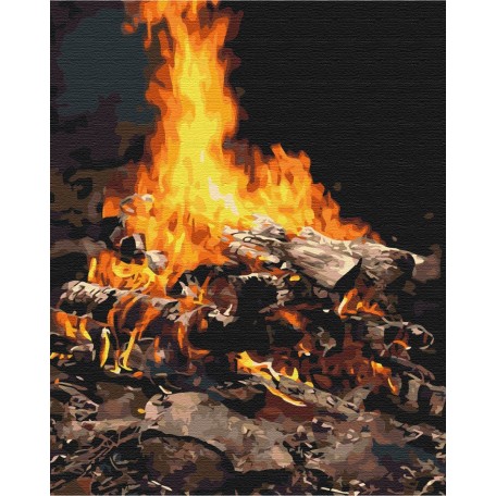 Картина за номерами Багаття BS21741