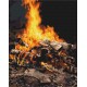 Картина за номерами Багаття BS21741