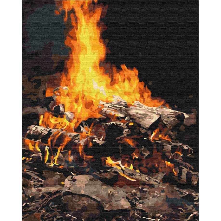 Картина за номерами Багаття BS21741