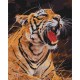 Картина за номерами Рев тигра BS52414