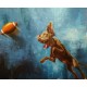 Довгий політ ©Lucia Heffernan CN5365L