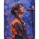 Картина за номерами K-pop співак BS54037