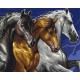 Картина за номерами Тріо коней BS5268