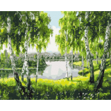 Картина за номерами Берізки з дитинства BS52205