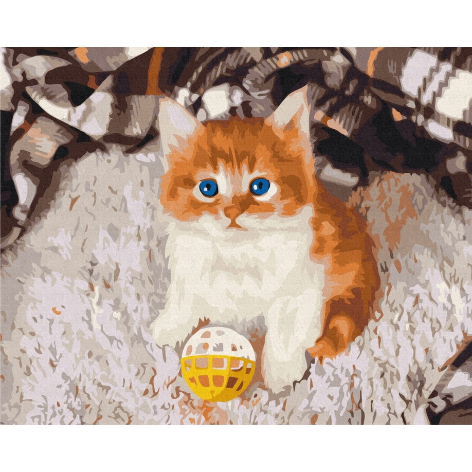 Грайливе кошеня