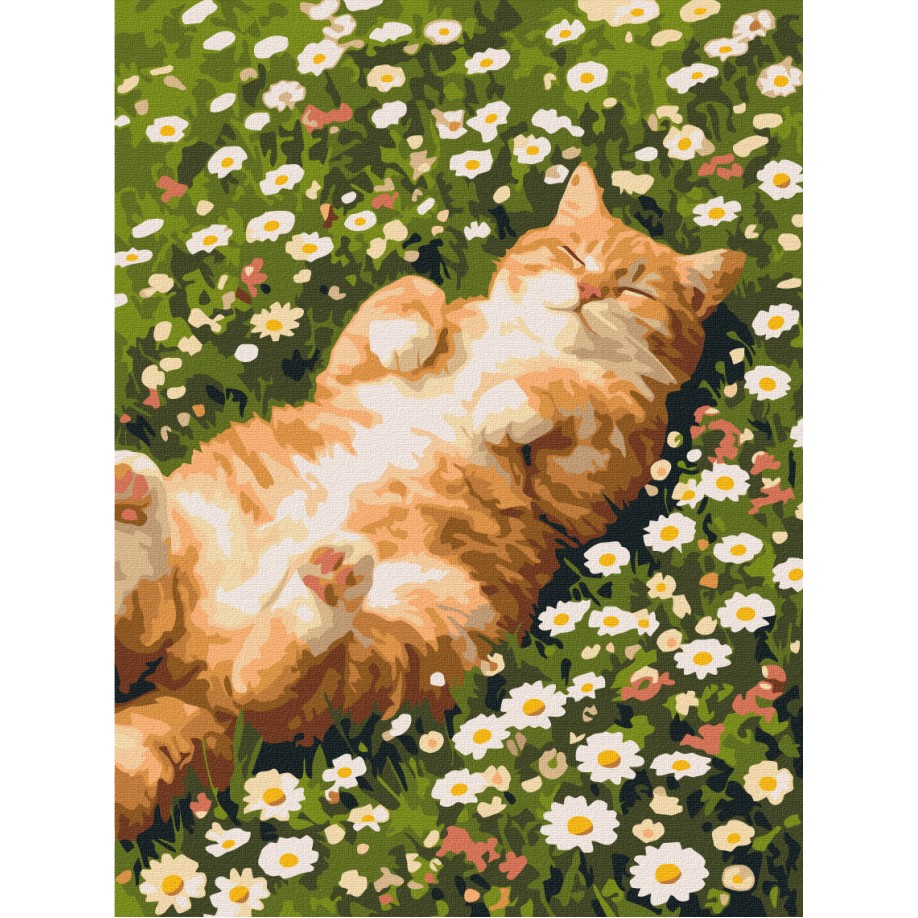 Котик у ромашках