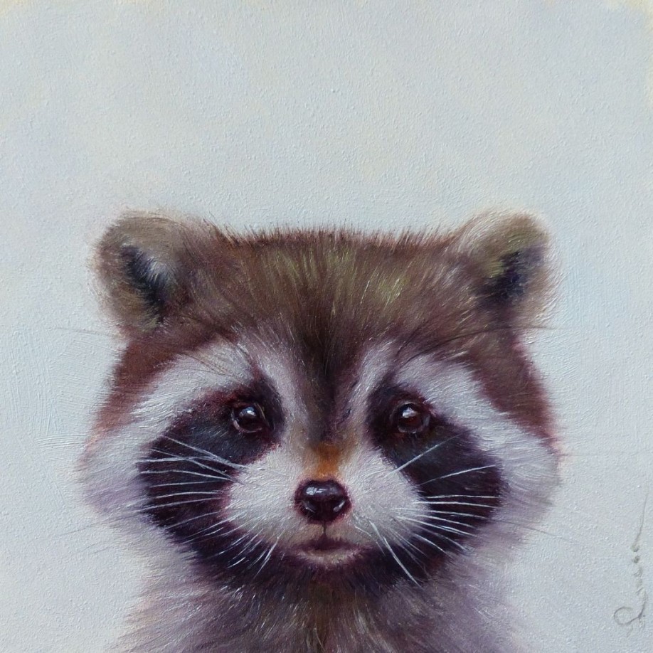 Єнотик ©Lucia Heffernan CN53300S