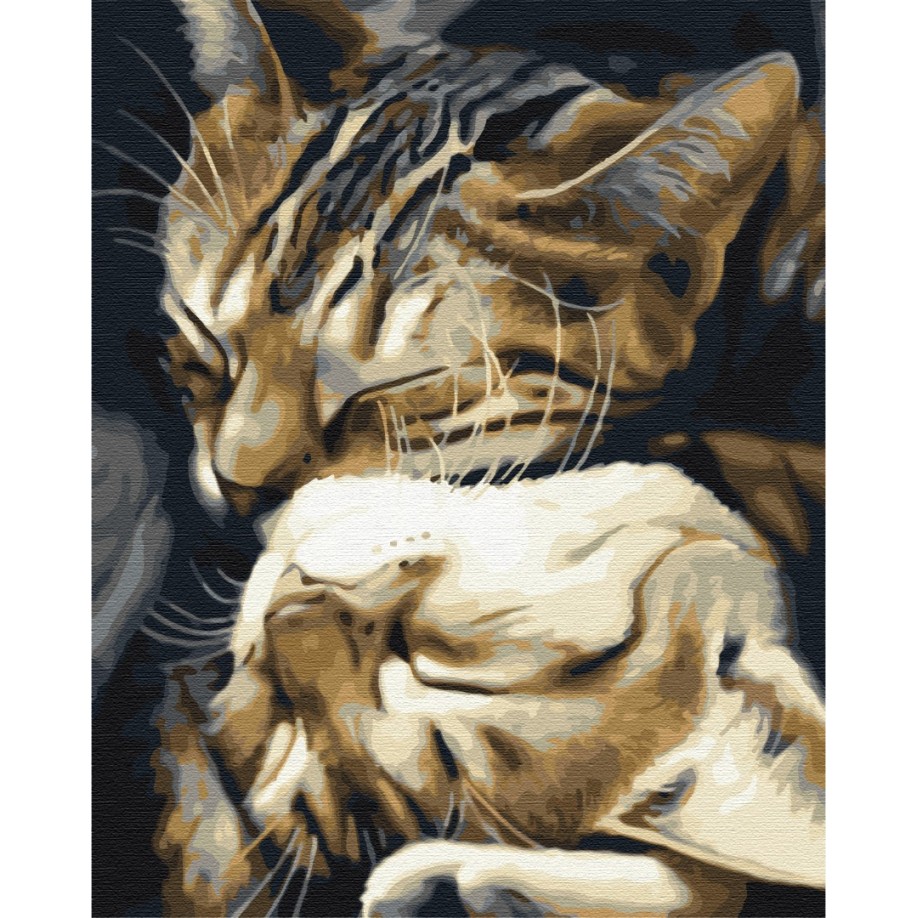 Сплячі котики