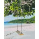 Картина за номерами Райський куточок BS51427
