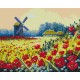 Картина за номерами Макове поле, BS53148