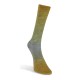 Laines du Nord Watercolor Sock, 203