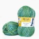 Regia Color 100 г, 00357