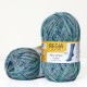 Regia Color 100 г, 00379