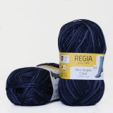 Regia Color 100 г, 00405