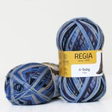 Regia Color 100 г, 00413