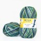 Regia Color 100 г, 00441