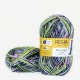 Regia Color 100 г, 00455