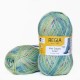 Regia Color 100 г, 00477