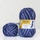Regia Color 100 г, 09000
