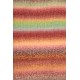 Schoppel Zauberball Crazy, 2545