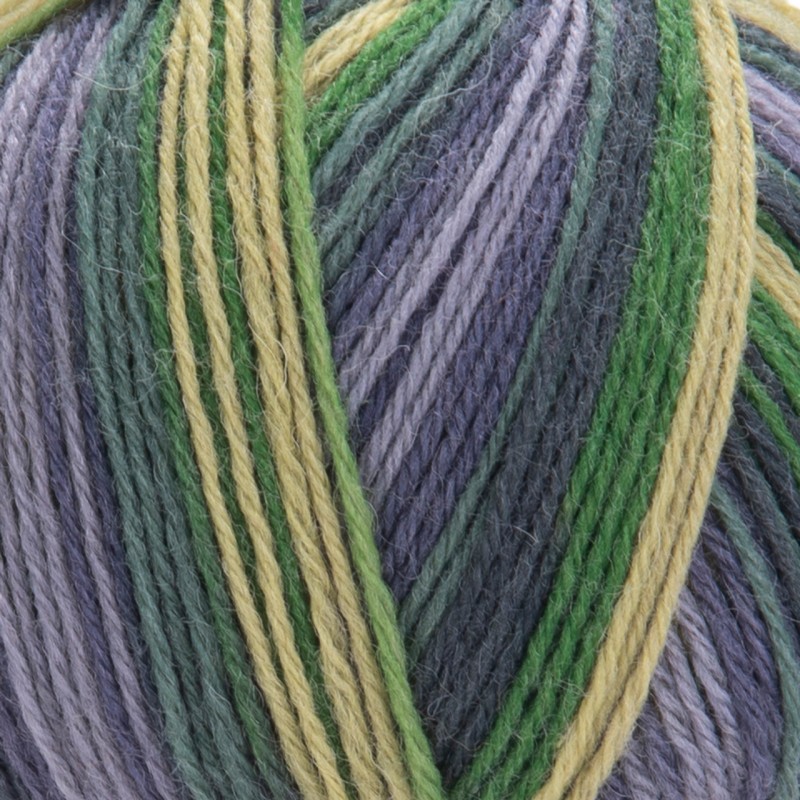 YarnArt Forza, 2505