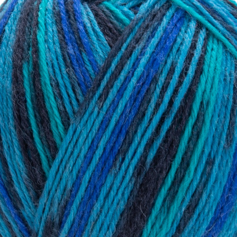 YarnArt Forza, 2507