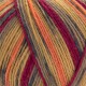 YarnArt Forza, 2509