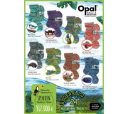 Opal Regenwald 21